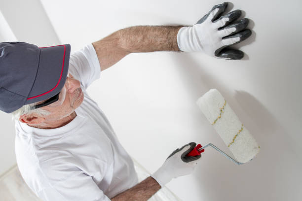 Professional Dry wall and painting in Ashley, OH